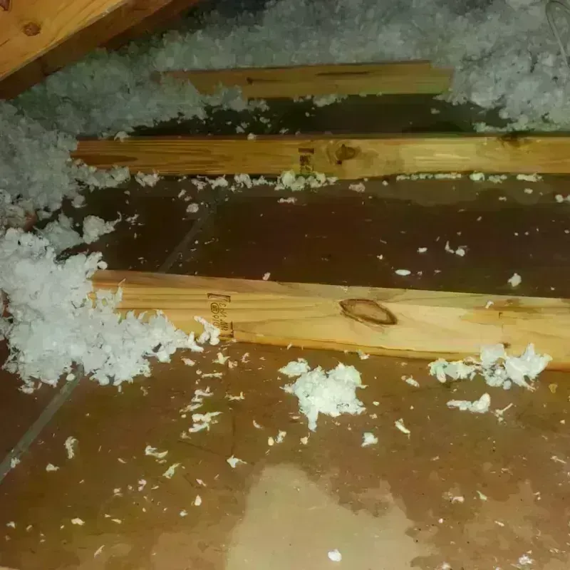 Attic Water Damage in Minerva, OH