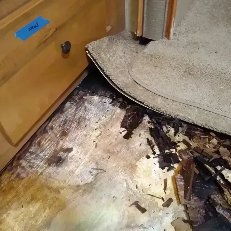 Wood Floor Water Damage in Minerva, OH